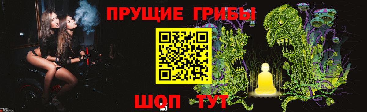 Псилоцибиновые грибы Psilocybe Елизово